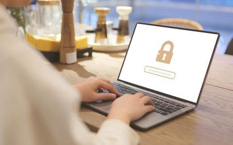 Password Encryption Insights: Expert Guide and Professional Recommendations