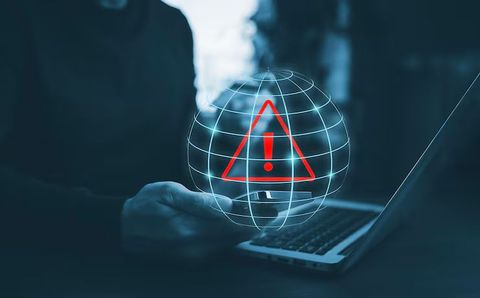 Network Vulnerability Management Insights: Expert Guide and Professional Recommendations